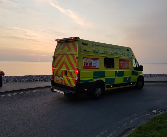 Dawlish man named after Torquay Remembrance Sunday crash