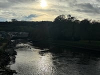 Letters 28 November