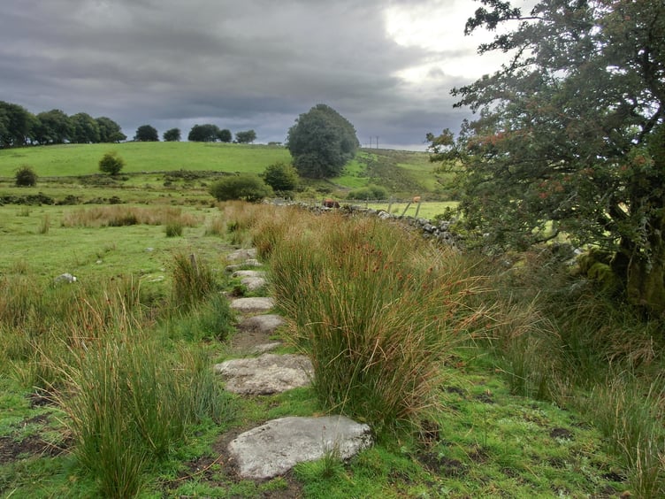 Dartmoor- Image by Alice_Alphabet from Pixabay