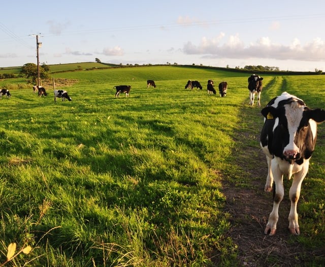 Sort out ‘tax dodge’ farmers’ call from Devon MPs