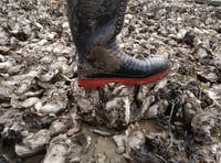 Biosecurity: why prevention matters most