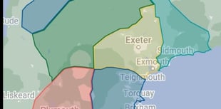  How might Devon be reorganised?