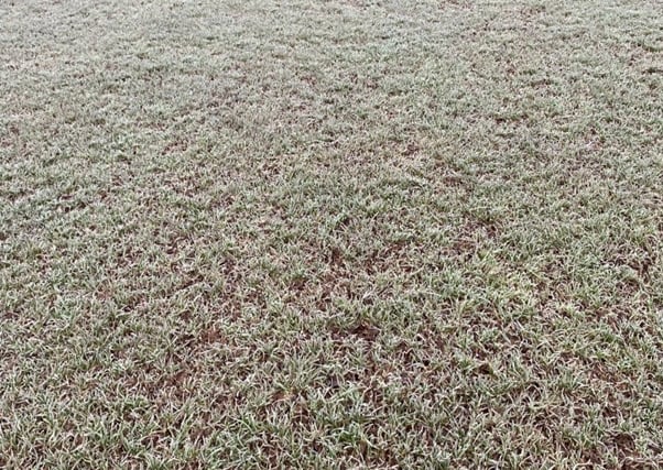 Frozen pitch thwarts Dartmouth AFC