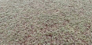 Frozen pitch thwarts Dartmouth AFC
