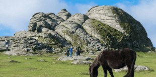 £3million funding boost to protect Dartmoor's heritage 