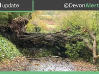 Live Blog: Storm Eowyn batters Devon with high winds and heavy rain