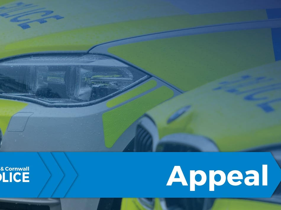 Police appeal for dashcam footage 