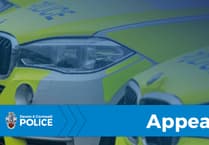 Police seek witnesses in A38 fatal collision