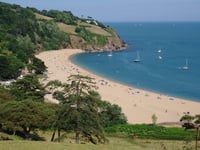 Popular South Hams music festival cancelled