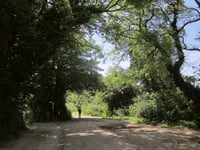 West Charleton Village Party returns next month