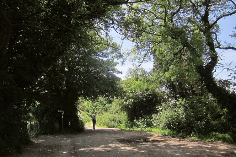 Marsh Lane, West Charleton by Derek Harper