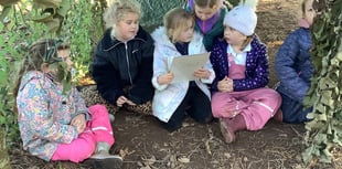 Stoke Fleming Primary School takes flight with RSPB’s Big Bird Watch