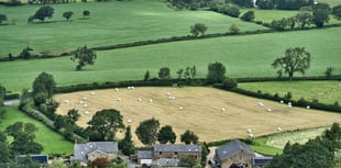 Caroline Snow Column | A land use plan for England