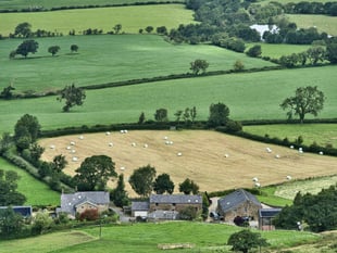 Caroline Snow Column | A land use plan for England