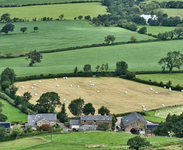 Caroline Snow Column | A land use plan for England