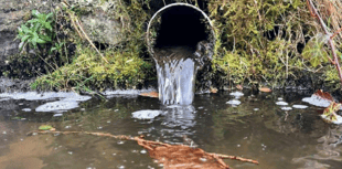 South West Water invests £700m to reduce storm overflows