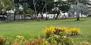 Nature Diary by Mike Hitch | Our time in Grenada 