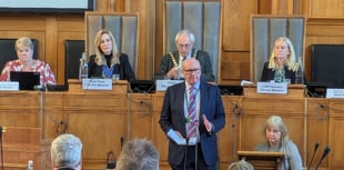 Devon Tories set for new leader as McInnes bows out
