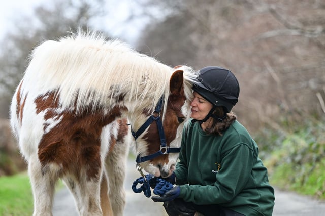 Rehome a pony and give another a lifeline