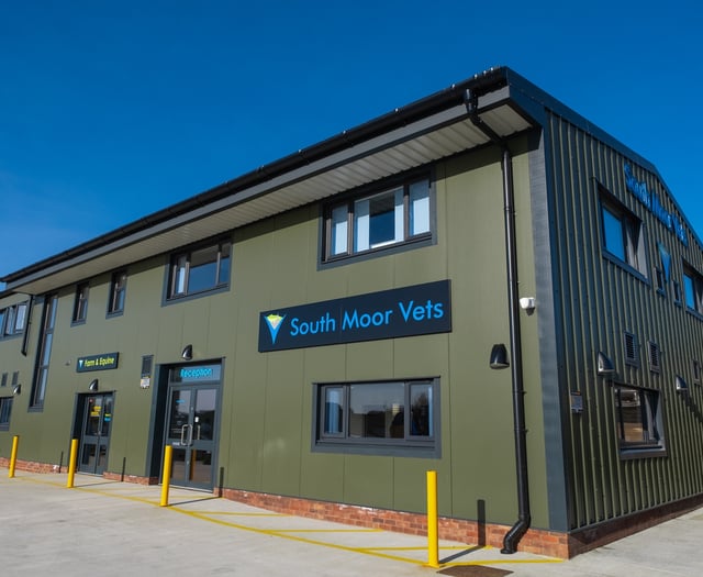 South Moor Vets joins XLVets as expansion continues