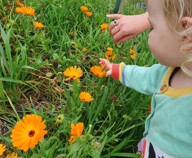 Common Flora earns accreditation for farm education