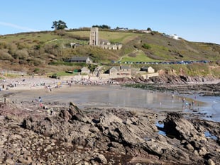 Discover marine life with Devon Wildlife Trust Wembury Beach survey