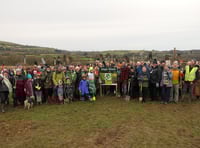 Celebrating Biodiversity: The success of Hope Wood