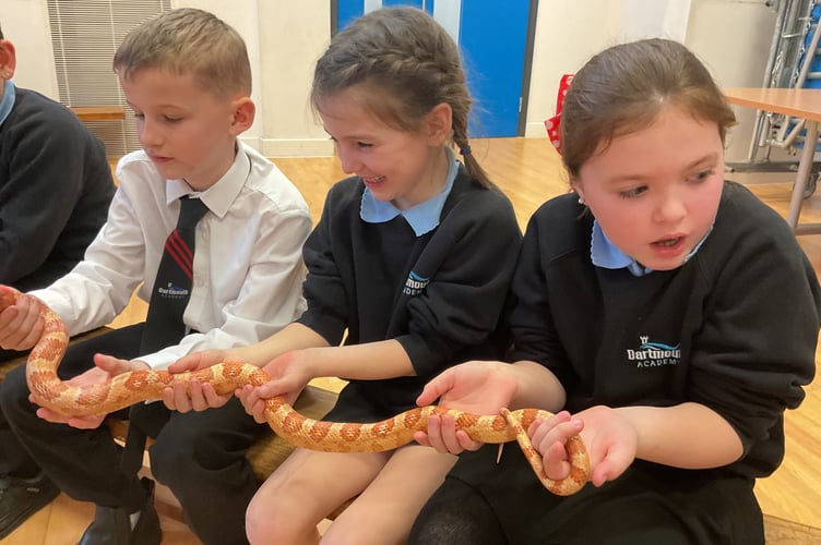 Handling a snake