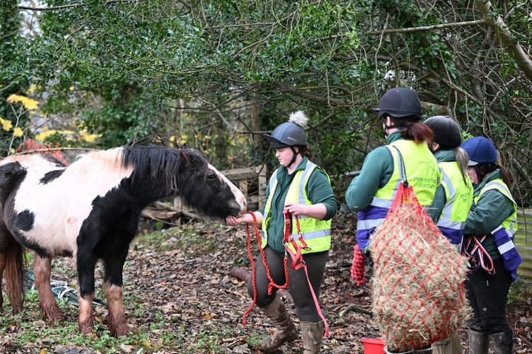 Mare and Foal Sanctuary staff. 
