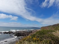 Discover invertebrates on South West coast walk