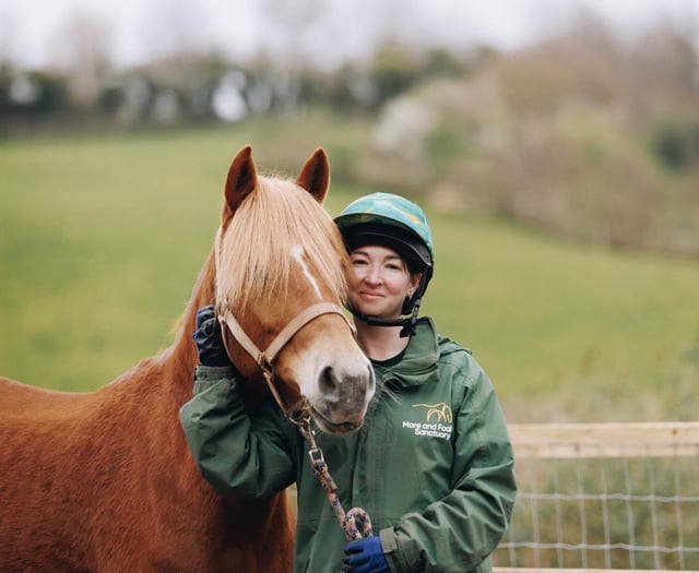 Eva Novi's 10,000ft skydive for Devon's equine charity