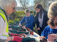 Sunflower competition for local schools