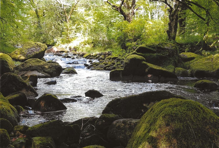 River Erme  - James Miller