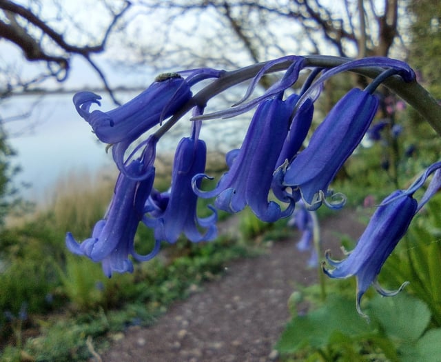 Nature Diary by Fiona van Es | Sunrise at Slapton