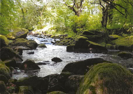 James Miller - River boulders