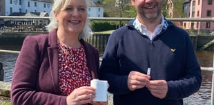 Water test kit detects bacteria fast