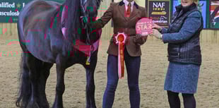Devon Riders Triumph at SEIB Event