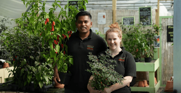 South Devon Chilli Farm