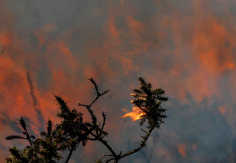 Stock image of fire on Dartmoor. Controlled buring from 2016