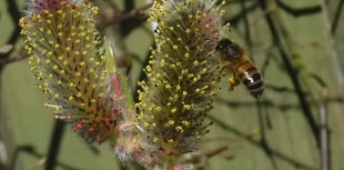 Nature through the lens with photography competition