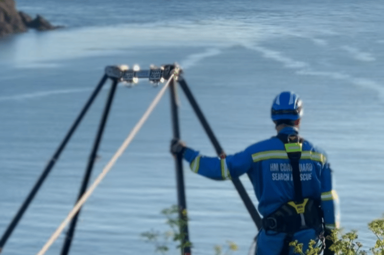 Dolphins spotted during cliff rescue training - Kingsbridge Coastguard Rescue Team
