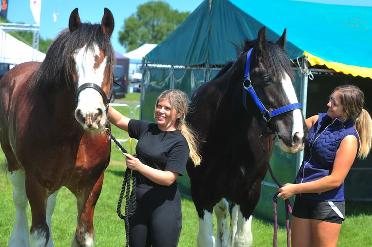 Devon County Show. Gentle giant Clydesdales  Kingsman  and Houston with Abbey Bray and  Lara Hennings.  The Cornish horses are looking forward to meeting actor Martin Clunes who will be opening the Festival of Heavy Horses at the show tomorrow (Thursday May 15)