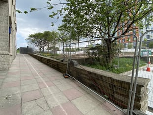 Plymouth becomes 'Tree City' with new greenery