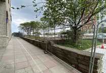 Plymouth's green transformation earns 'Tree City' title