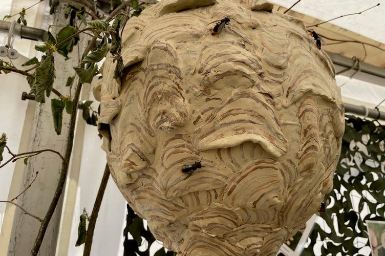 A model of an Asian hornet nest on display in the Bees and Honey tent at Devon County Show