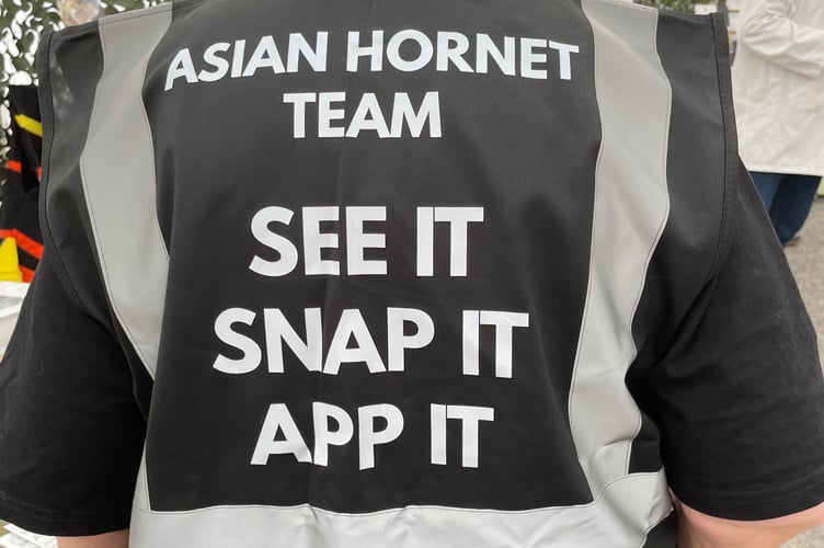 See it Snap it App it - Helen Tworkowski from Tavistock Beekeepers urges the public to keep an eye out for Asian Hornets