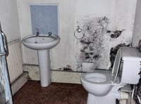 South Hams council launches damp and mould campaign