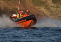 Hope Cove Lifeboat rescues dog from Broadsands Beach cliff fall