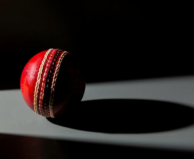 Whitchurch cricketer is 80 not out to Ivybridge