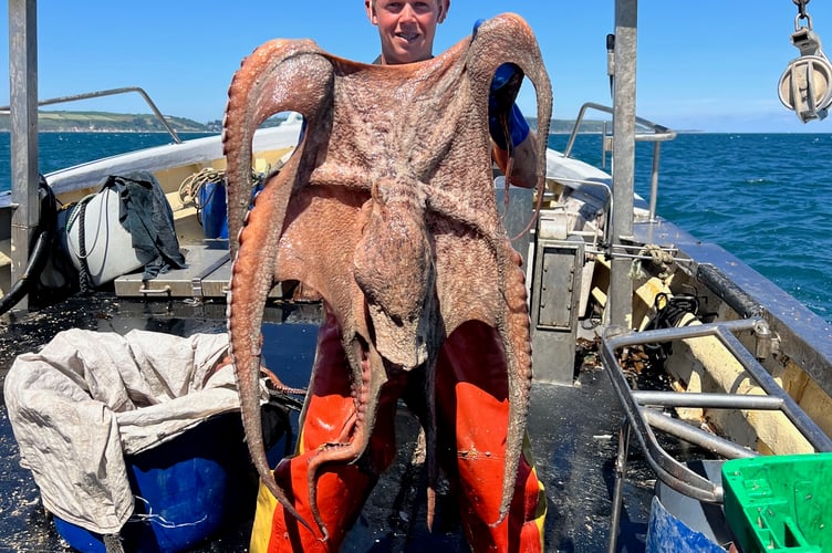 Alan with an enormous octopus